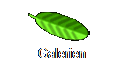 Galerien