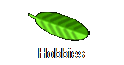 Hobbies